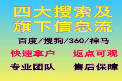 某企业SEM广告投放的转化率提升秘诀